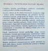 Ewa Machut-Mendecka Archetypy islamu